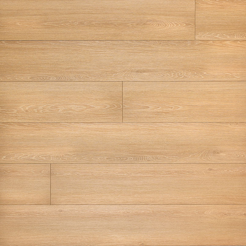 MSI Flooring Cyrus 12Mil